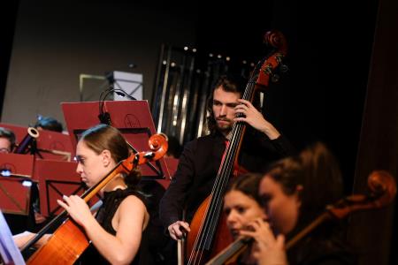 Dan samostojnosti Krško 041